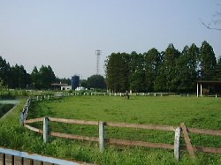 東大農学部附属牧場2