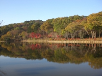 北山公園