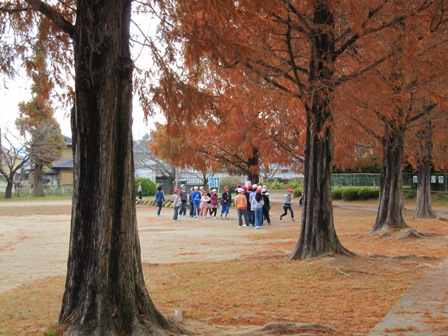 紅葉の様子