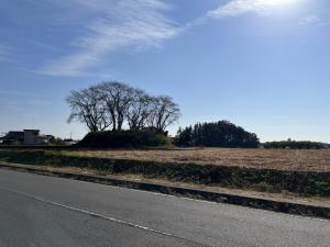 一本松古墳道路から