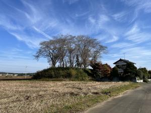 一本松古墳西から