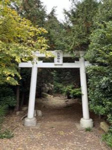 諏訪神社鳥居
