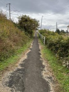 坂場見切りへの道