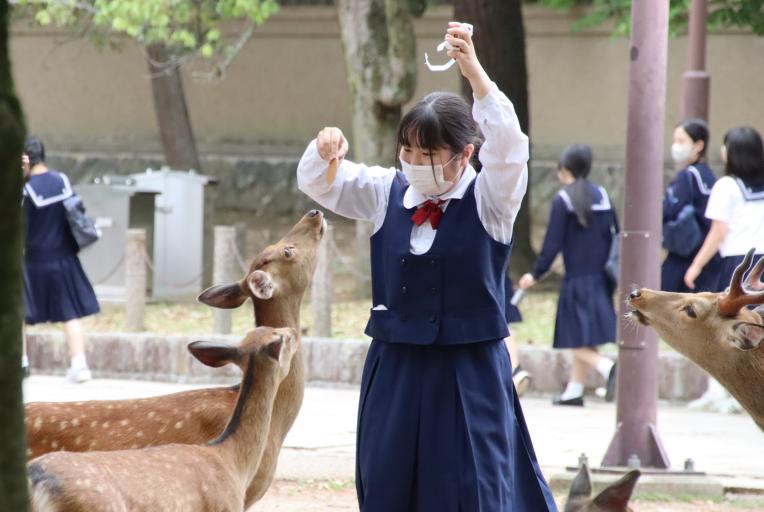 修学⑤